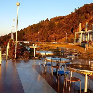 Hawk Eye Shimla